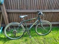 indi fs 1 mens mountain bike